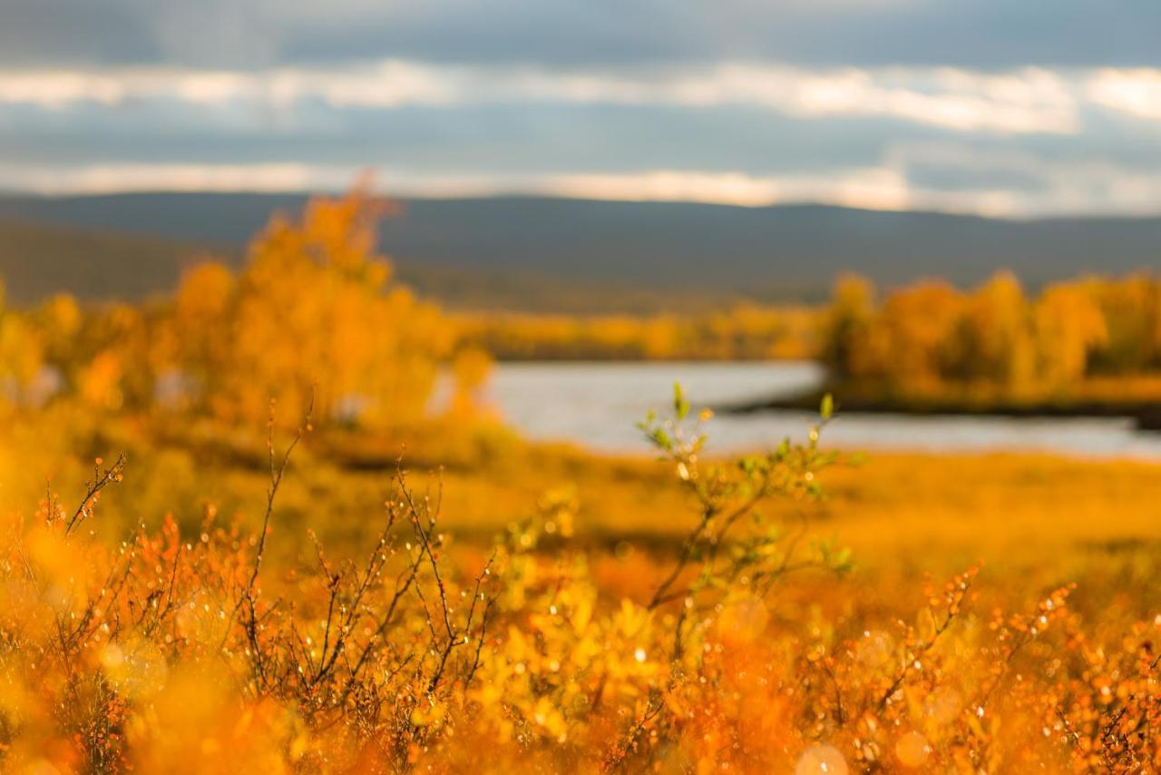 Arctic Gourmet Cabin Kiruna Buitenkant foto